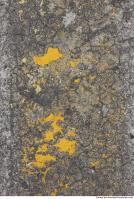 Photo Texture of Concrete Painted